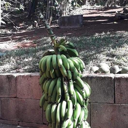 Casa Grande, Bem Espacosa, Em Itambe Do Mato Dentro, Cabeca De Boi Villa Esterno foto